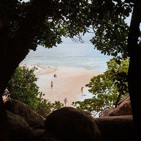 Hostel Little Drifter Cairns Exterior foto