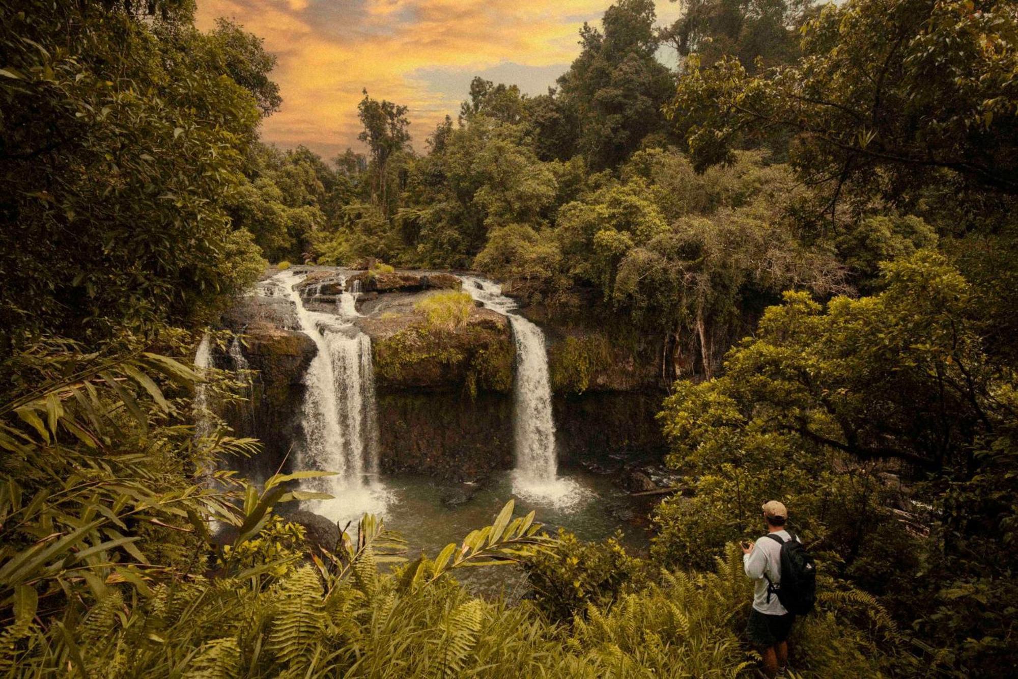 Hostel Little Drifter Cairns Exterior foto